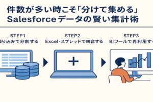 件数が多い時こそ分けて集めるSalesforceデータの賢い集計術