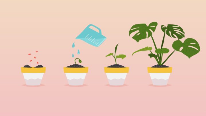 レビューから改善の芽を育てるためには！